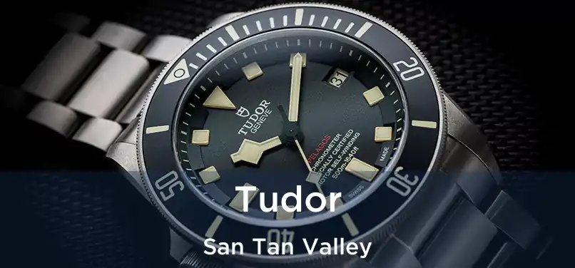 Tudor San Tan Valley